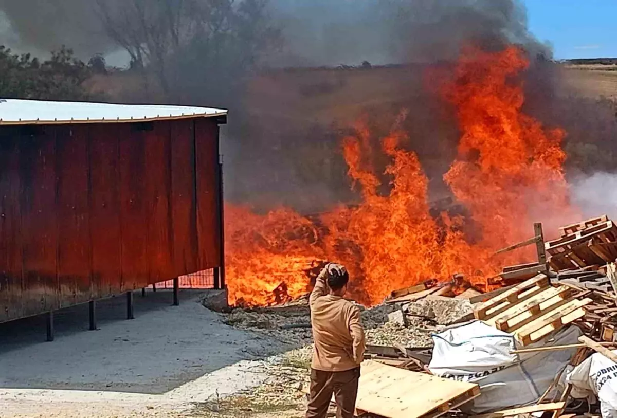 tekirdagda palet fabrikasinda yangin 52PcWRVC