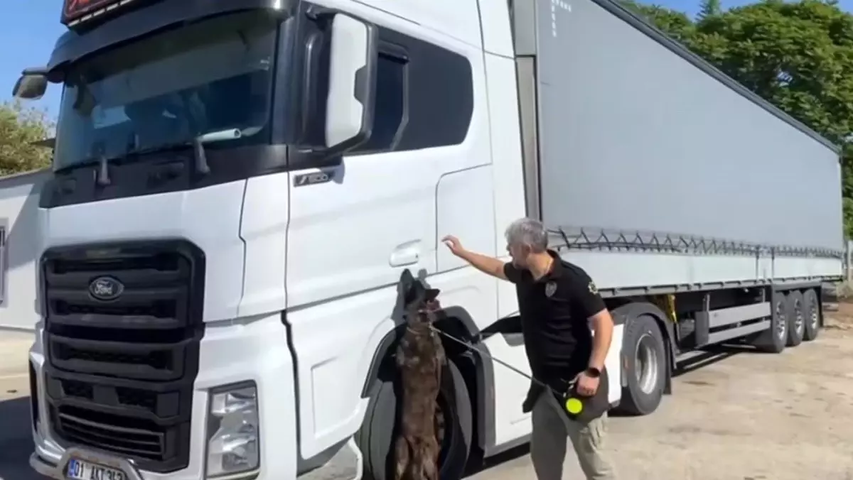 adanada 55 kilogram skunk ele gecirildi LnLu8e8w.jpg