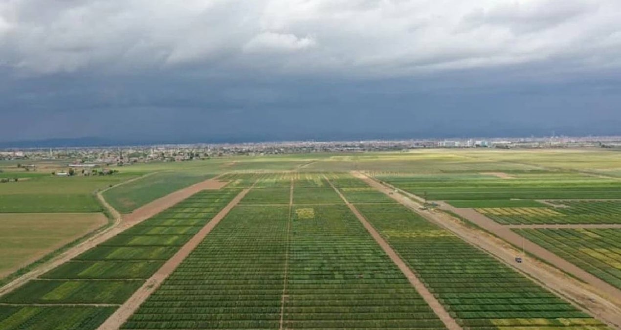 tarimda girdi maliyetleri artmaya devam ediyor yillik yukselis yuzde 34u asti jUv4EkZA.jpg